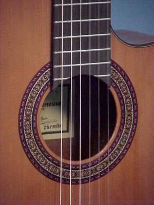 Warren Kramer | Classical, Jazz, Acoustic Guitar | Grand Rapids, MI | Jazz Acoustic Guitar | Photo #7