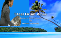 Steel Drum Vibes By Mustafa Alexander | Brooklyn, NY | Steel Drum | Performance Video Montage