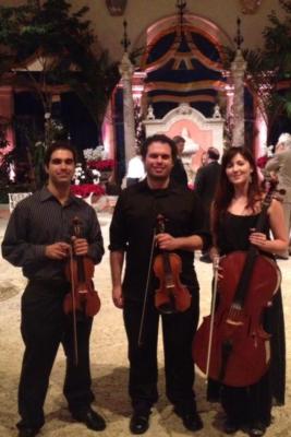 Miami Cello And Guitar Duo | Miami, FL | Classical Duo | Photo #15