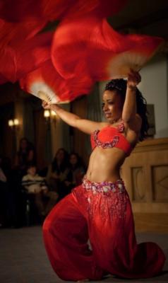 Ebony - Traditional and Hip Hop Fusion Belly Dance | Washington, DC | Belly Dancer | Photo #12