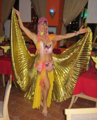 Be Allured Belly Dancing By Dimitra | Milwaukee, WI | Belly Dancer | Photo #14