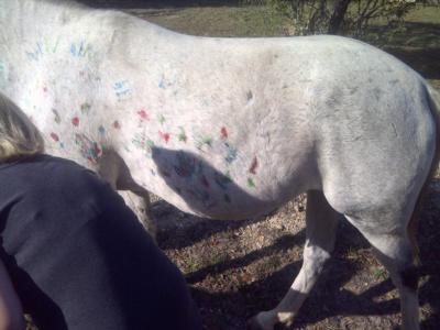 Bella Peregrina Ranch | Austin, TX | Pony Rides | Photo #6