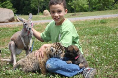 Zootastic Park's Main Photo
