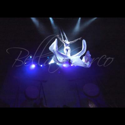 Bella Circo Productions's Main Photo