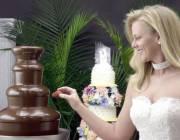 Delaware Chocolate Fountain Rentals's Main Photo