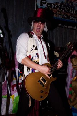 The Partyhardigans! | Chicago, IL | Cover Band | Photo #11