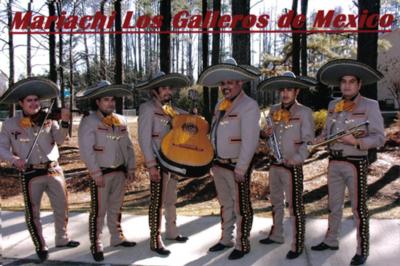 Triangle Entertainment Agency | Raleigh, NC | Variety Band | Photo #8
