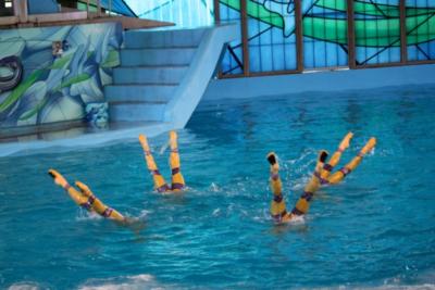 OMA Entertainment Inc. | San Antonio, TX | Circus Act | Photo #15