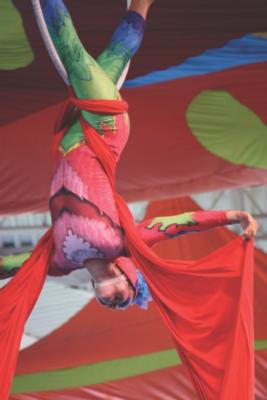 OMA Entertainment Inc. | San Antonio, TX | Circus Act | Photo #6