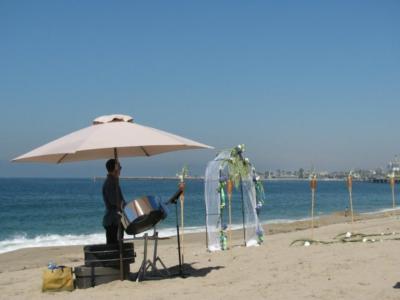 NESTA steel drums~ husband & wife steel drummers   | Los Angeles, CA | Steel Drum | Photo #3