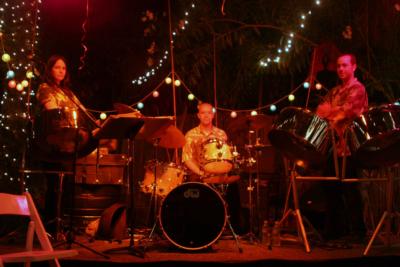 NESTA steel drums~ husband & wife steel drummers   | Los Angeles, CA | Steel Drum | Photo #8