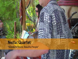 NESTA steel drums~ husband & wife steel drummers   | Los Angeles, CA | Steel Drum | Wonderful World Beautiful People (quartet w- emphasis on Abby And Dan)
