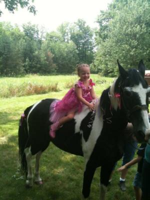 Ponies For Parties's Main Photo