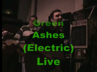 Green Ashes | Los Angeles, CA | Irish Band | Green Ashes Live And Electric! - Performing Greenland Whale Fisheries, The Kesh, Lark In The Morning
