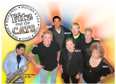Fitz And The Cats's Main Photo