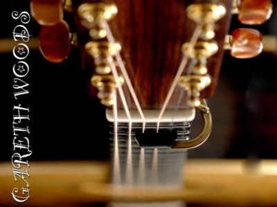 Gareth Woods | Chicago, IL | Rock Acoustic Guitar | Photo #16