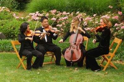 Amadeus String Ensemble | Atlanta, GA | Classical String Quartet | Photo #2