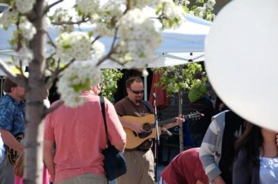Vintage Grass | Sonoma, CA | Bluegrass Band | Photo #6
