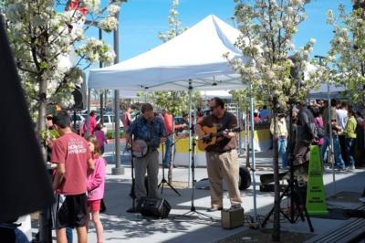 Vintage Grass | Sonoma, CA | Bluegrass Band | Photo #7