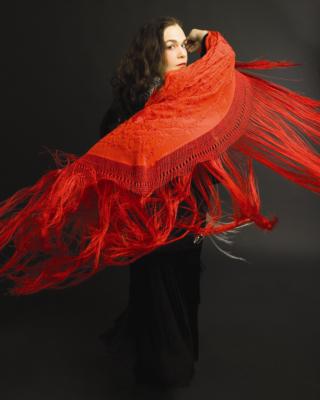 Hector Fernandez Music Inc. | Chicago, IL | Flamenco Guitar | Photo #3