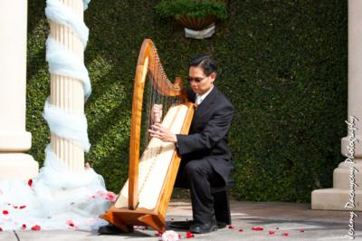 Rick Tan - Harpist | Davis, CA | Harp | Photo #6
