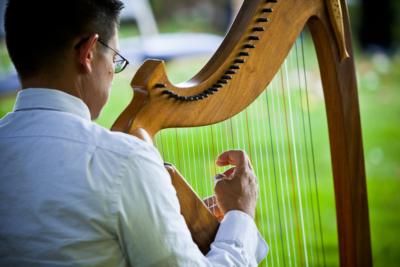 Rick Tan - Harpist | Davis, CA | Harp | Photo #9