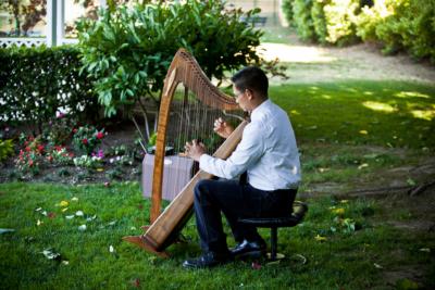 Rick Tan - Harpist | Davis, CA | Harp | Photo #4