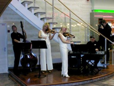 The Magic Strings | Miami Beach, FL | Violin | Photo #3