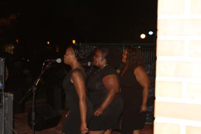 Blissful Soundz | Homewood, IL | Variety Band | Photo #4