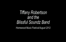 Blissful Soundz | Homewood, IL | Variety Band | Rock Steady
