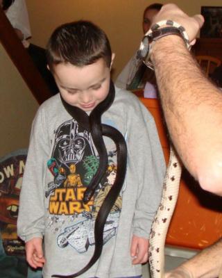 Bwana Iguana Reptile Adventure | Johnston, RI | Animals For Parties | Photo #6