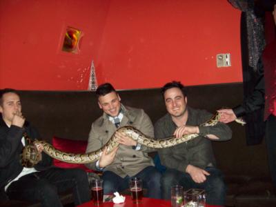 Bwana Iguana Reptile Adventure | Johnston, RI | Animals For Parties | Photo #8