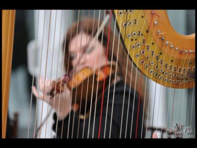David Turner Music Ensembles | Sarasota, FL | Classical String Quartet | Photo #4