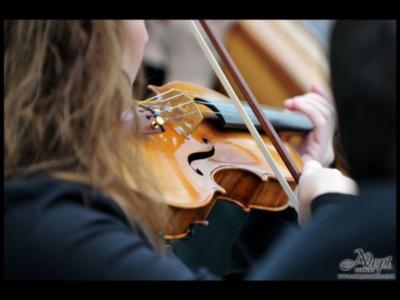 David Turner Music Ensembles | Sarasota, FL | Classical String Quartet | Photo #6