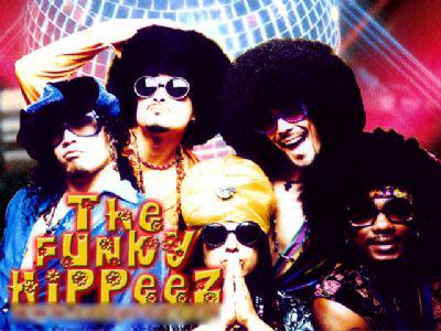 The Funky Hippeez's Main Photo