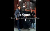 Steve Tarshis and His Instrumental Trio | New York, NY | Jazz Band | Tequila