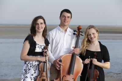 The Wedding Violinist's Main Photo