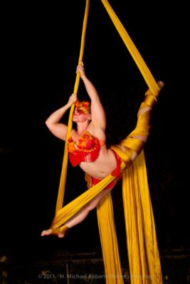 Aerial Empowerment | San Diego, CA | Circus Act | Photo #7