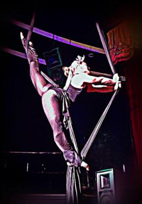Aerial Empowerment | San Diego, CA | Circus Act | Photo #19