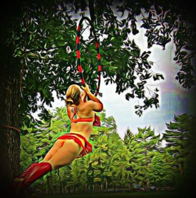 Aerial Empowerment | San Diego, CA | Circus Act | Photo #21
