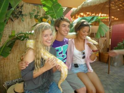 Pacific Animal Productions | Fallbrook, CA | Animals For Parties | Photo #5