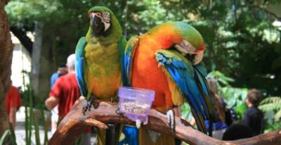 Pacific Animal Productions's Main Photo