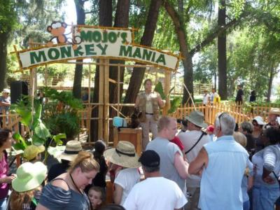 Pacific Animal Productions | Fallbrook, CA | Animals For Parties | Photo #6