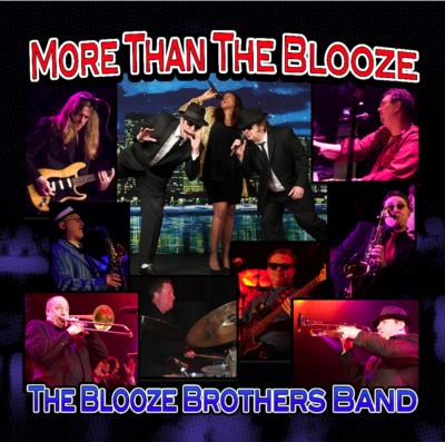Blooze Brothers Band | Chicago, IL | Blues Brothers Tribute Band | Photo #2