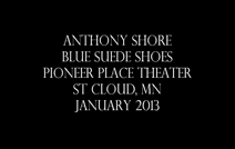 Anthony Shore Award Winning Elvis Tribute Artist | Minneapolis, MN | Elvis Impersonator | Blue Suede Shoes