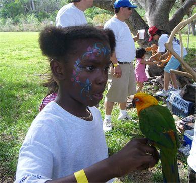 partyparrots | Palm Bay, FL | Animals For Parties | Photo #14
