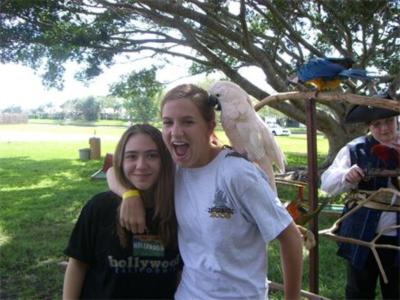 partyparrots | Palm Bay, FL | Animals For Parties | Photo #12