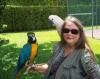 partyparrots | Palm Bay, FL | Animals For Parties | Photo #25