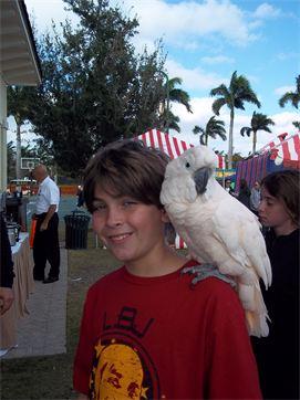 partyparrots | Palm Bay, FL | Animals For Parties | Photo #11