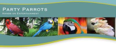partyparrots | Palm Bay, FL | Animals For Parties | Photo #24